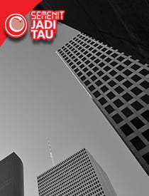 #17 web