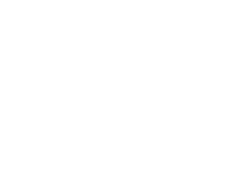 SLID - Logo White