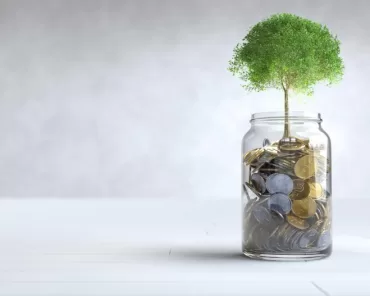 Contoh Pengelolaan Keuangan Perusahaan