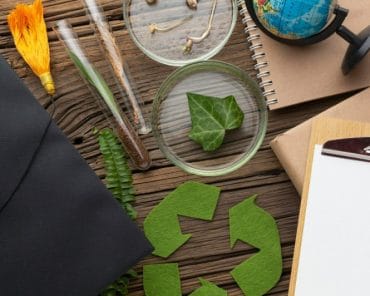 kapan wajib memiliki AMDAL