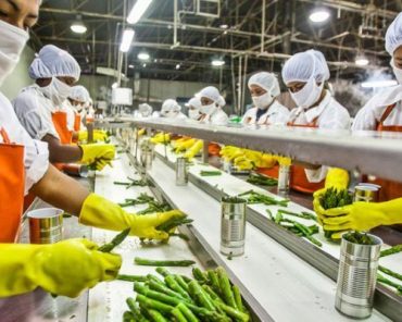 Pengurusan Izin Usaha Industri
