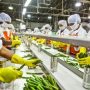 Pengurusan Izin Usaha Industri