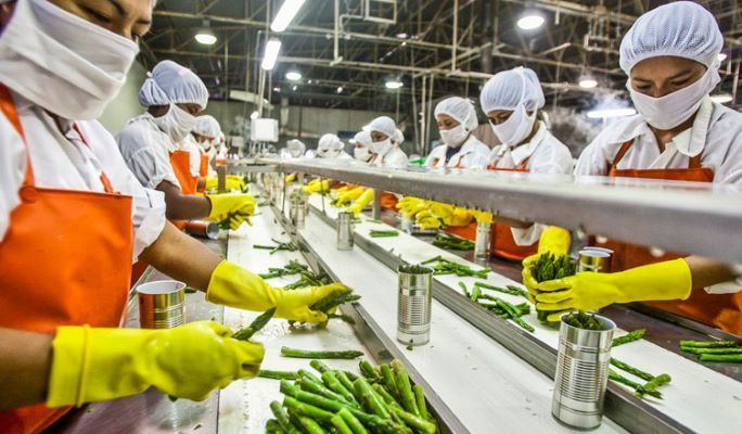 Pengurusan Izin Usaha Industri