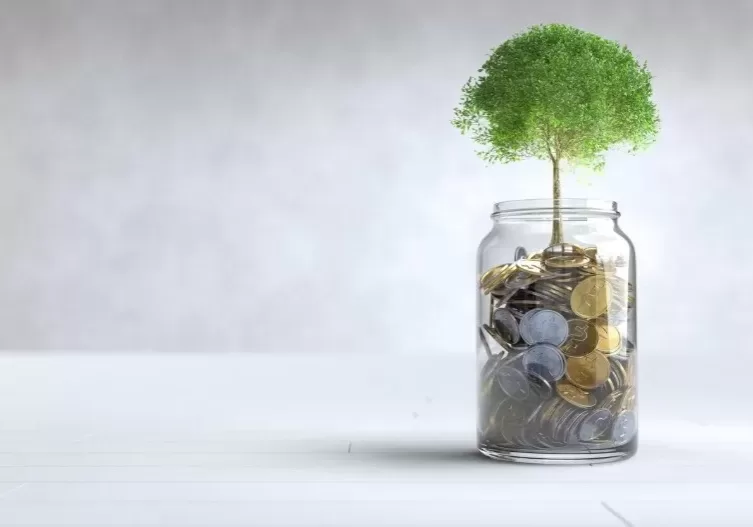 Contoh Pengelolaan Keuangan Perusahaan