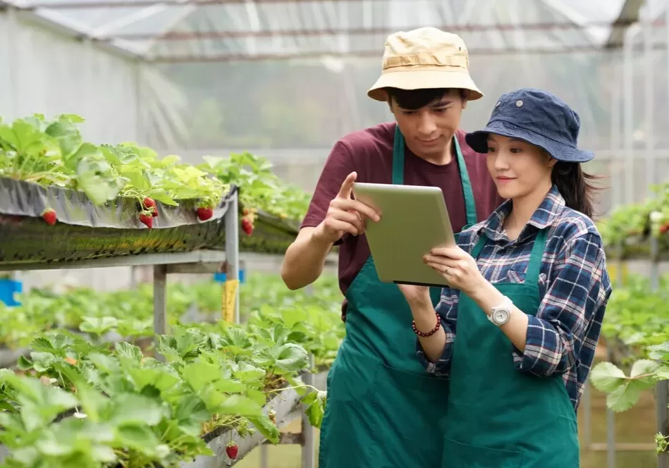 Contoh startup bidang pertanian Contoh startup bidang pertanian