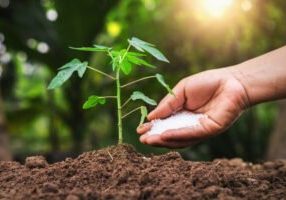 Hati-Hati! Mengedarkan Pupuk Tidak Terdaftar Dapat Dipidana Hati-Hati! Mengedarkan Pupuk Tidak Terdaftar Dapat Dipidana