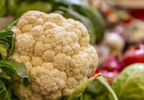 Ingin Mengurus Izin Usaha Perkebunan? Penuhi Dahulu Pemenuhan Komitmennya