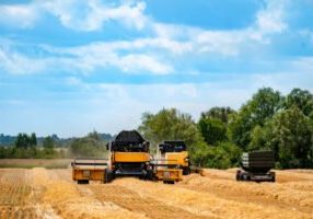 Ini 4 Batasan Penguasaan Tanah Untuk Izin Lokasi Sesuai Industri