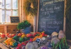 Klasifikasi-UKM-dan-UMKM-di-Indonesia Klasifikasi-UKM-dan-UMKM-di-Indonesia