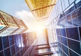 PT perorangan dan pt biasa