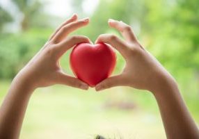 Panduan Lengkap Pendirian Yayasan di Indonesia yang wajib Anda Ketahui