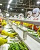 Pengurusan Izin Usaha Industri