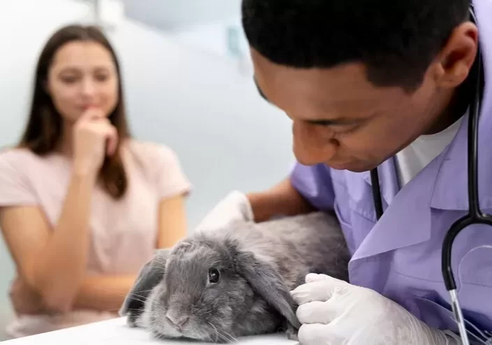 klinik hewan klinik hewan